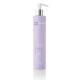 Be Blonde Silver Shine Anti-Yellow Shampoo